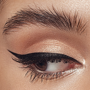 Makeup Brush