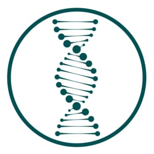 Bond Complex