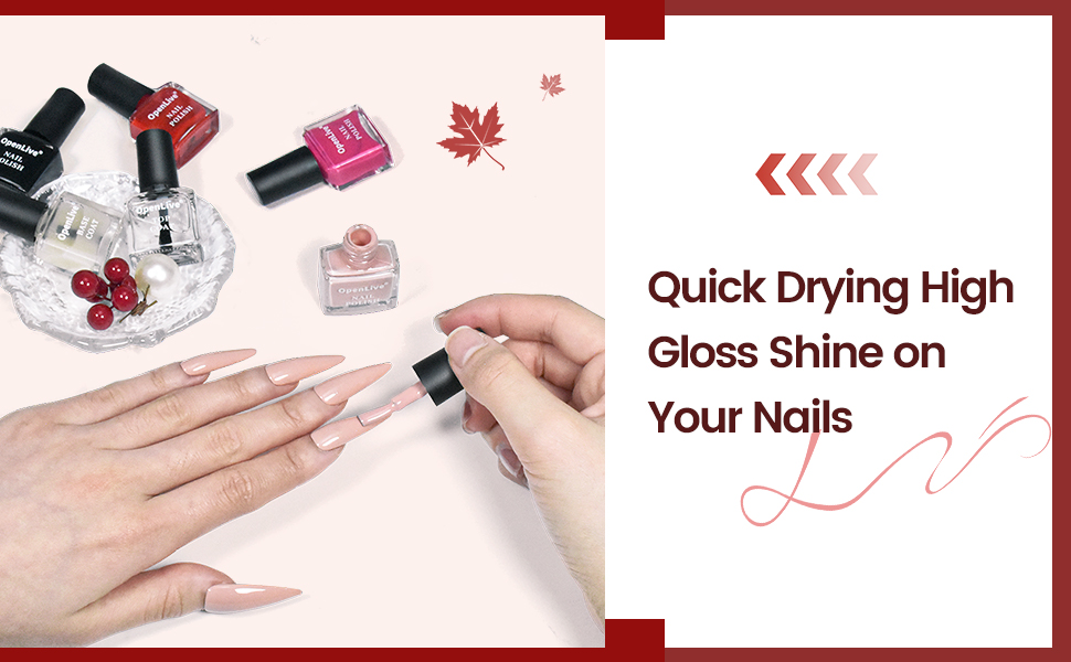 Nail Polish Kit Image