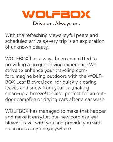 WOLFBOX MF50 Electric Air Duster