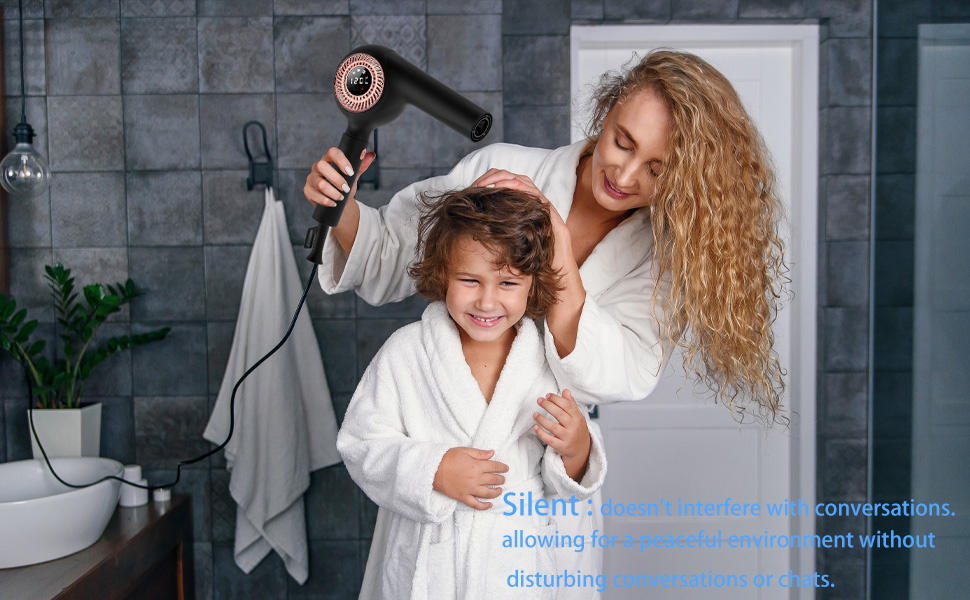 Professional Hair Dryer with Ionic