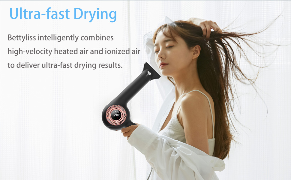 Professional Hair Dryer with Ionic