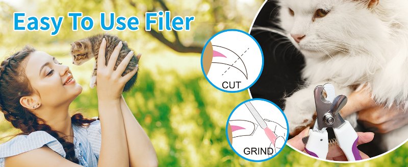 easy to use filer