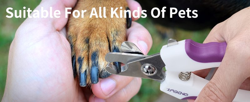 For All Small Pets