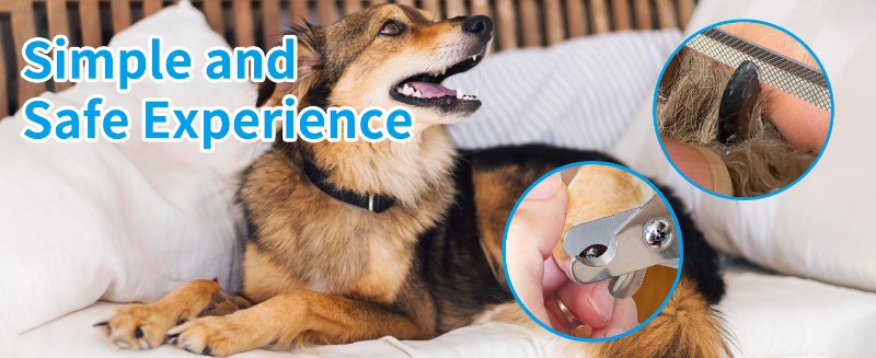 simple and safe experience