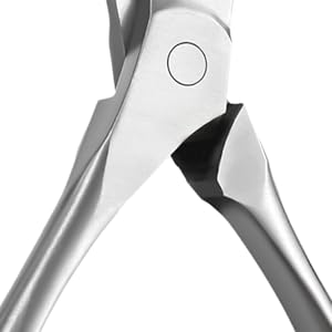 nail clipper dog