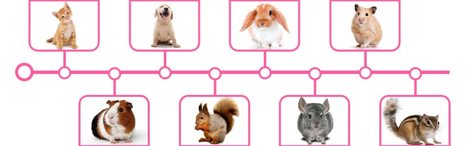 for rabbits, guinea pigs, hamsters, ferrets, cats, small dogs or other pets in the household