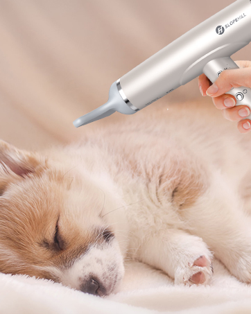 small hair dryer