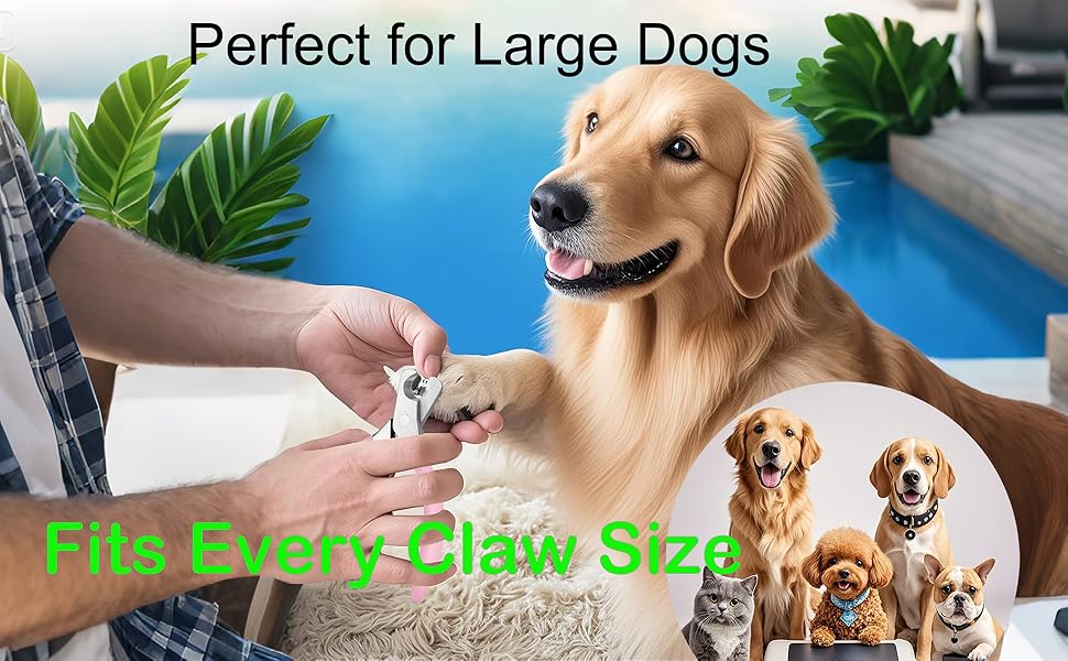 Safe & easy dog nail trimming for healthy, happy paws!