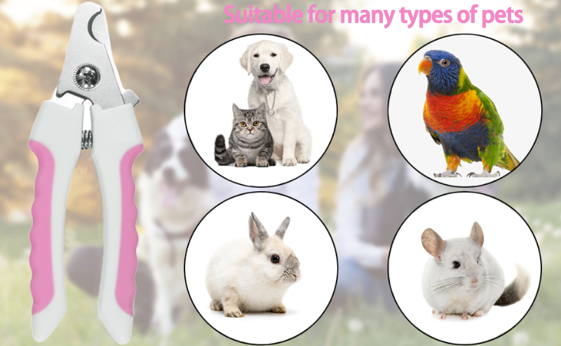 pet safety toenail clippers dog toenail nail clippers with guard dog small pet nail clippers