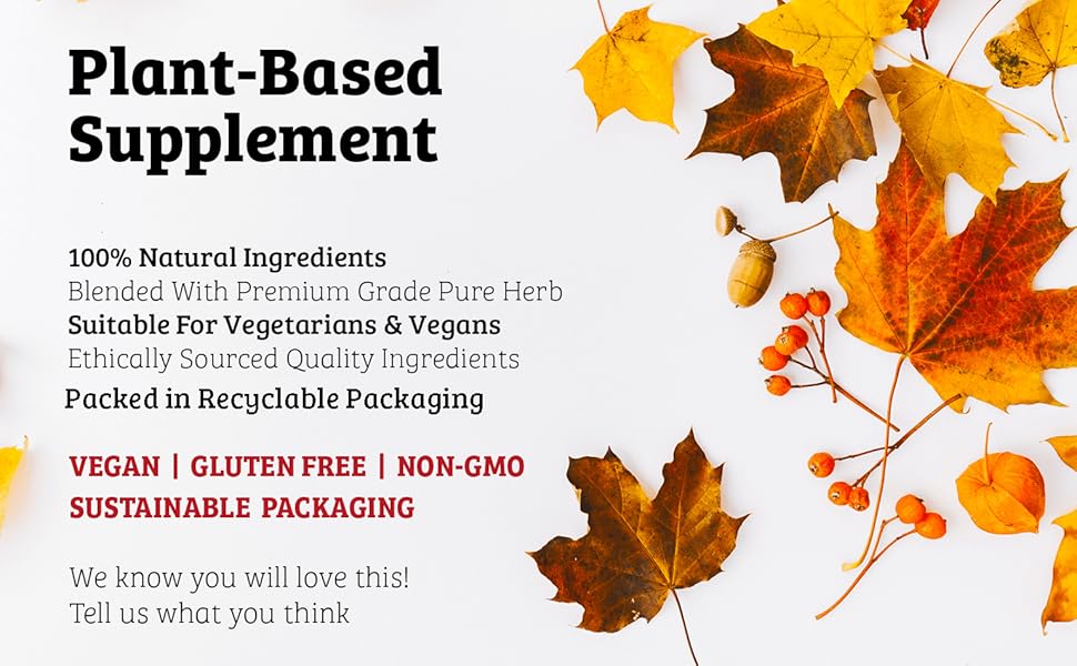 plant-based-supplement-powder