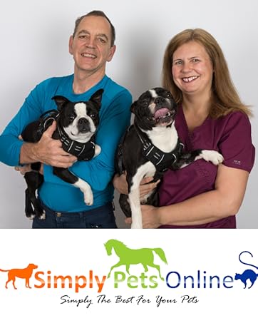 vets with dogs