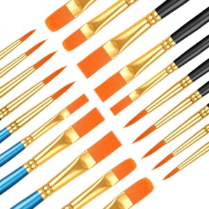 20 Pcs Paint Brushes, Acrylic Painting Brush Set, Watercolor Brushes, Acrylic Brushes for Oil Watercolor, Miniature Detailing, and Rock Painting