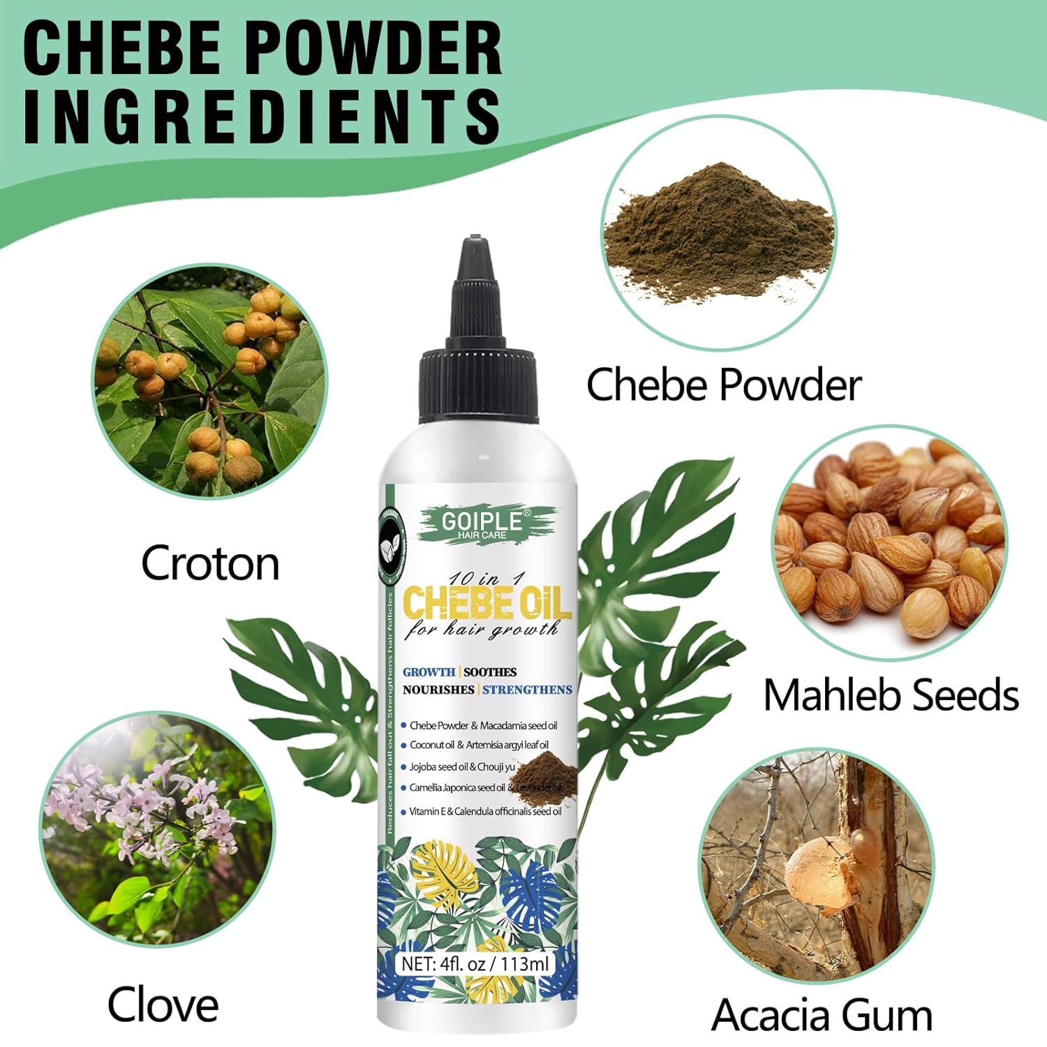 4 FL OZ Natural Chebe Hair Oil for Hair Growth, Moisturizer for Scalp, for All Hair Types - Image 2