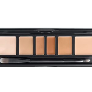 [JUNGSAEMMOOL OFFICIAL] Artist Concealer Palette (Skin) | Makeup Artist Brand | Color Corrector with Brush | Blemish Redness Dark Circles Cover Up