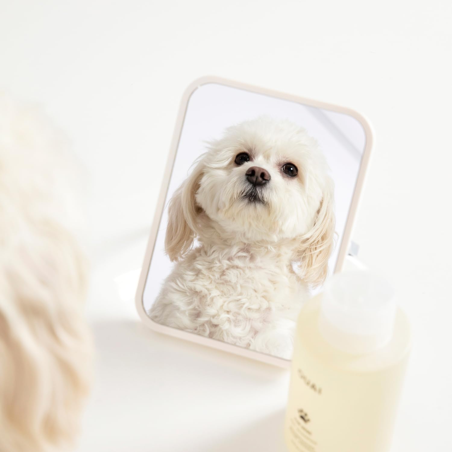 OUAI Fur Bébé Pet Shampoo, Mercer Street Scent - Dog Shampoo and Coat Wash for Hydrating, Cleansing and Adding Shine - Pet Supplies by OUAI (16 Fl Oz) - Image 6
