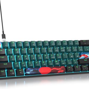 60 Percent Gaming Keyboard 60% Mechanical Keyboard LED Backlit Ultra Compact Wired Keyboard with Red Switch for Windows Laptop Gamer(61 Sound Wave)