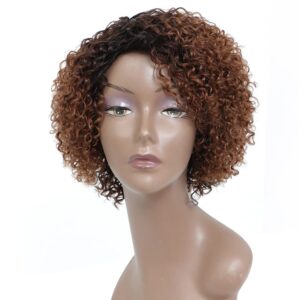 HUA Short Wigs for Black Women Human Hair Ombre Color Kinky Curly Short Brown Wig with bangs Brazilian Colored Curly Human Hair Wig None Lace Front Wigs Glueless