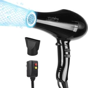 Professional Salon Hair Dryer, Blow Dryer Active Oxygen Negative ions Dryer with Attachments for Fast Drying for Family, Low Noise (Mirror Black, 1 Accessory)