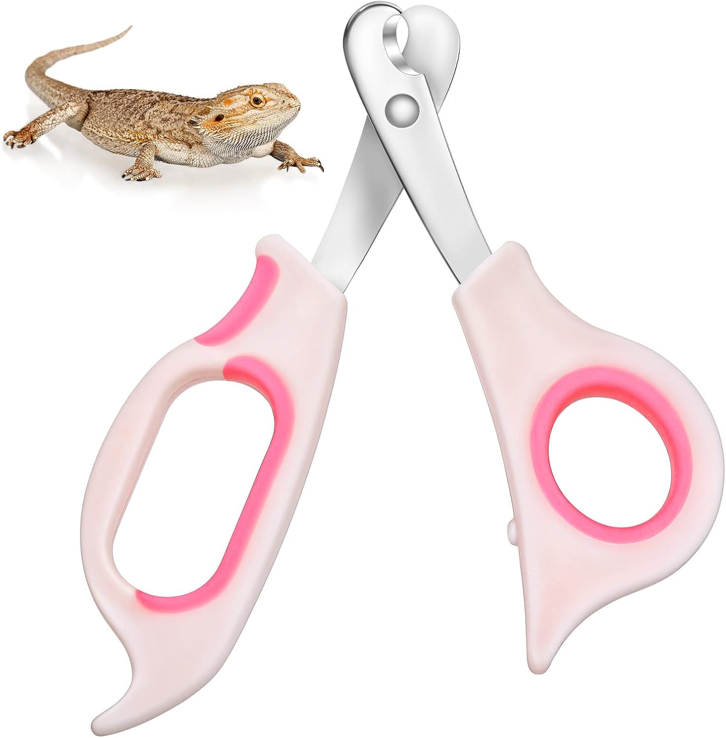 1 PCS Pet Nail Clippers for Cats Bearded Dragon Nail Clippers Cat Nails Trimmers with Precise Angled Edges Stainless Steel Toe Clipper for Small Reptiles Birds Hamsters Hedgehogs Guinea Pigs
