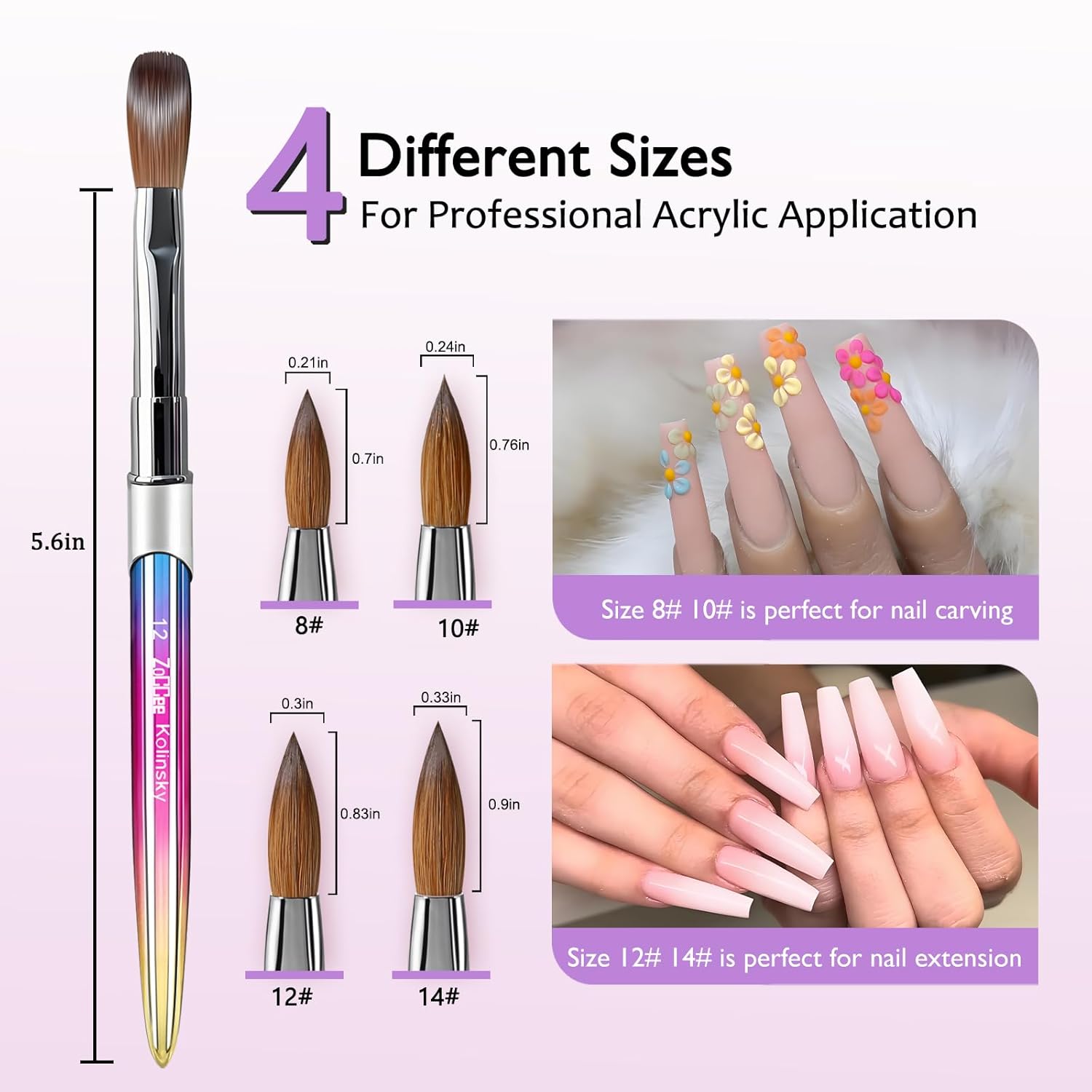 Acrylic Nail Brush - 100% Kolinsky Sable Hair Brush for Acrylic Application - Professional Salon-Grade Tools with Box for Nail Art, Extensions & 3D Carving (Gradient, #8) - Image 5