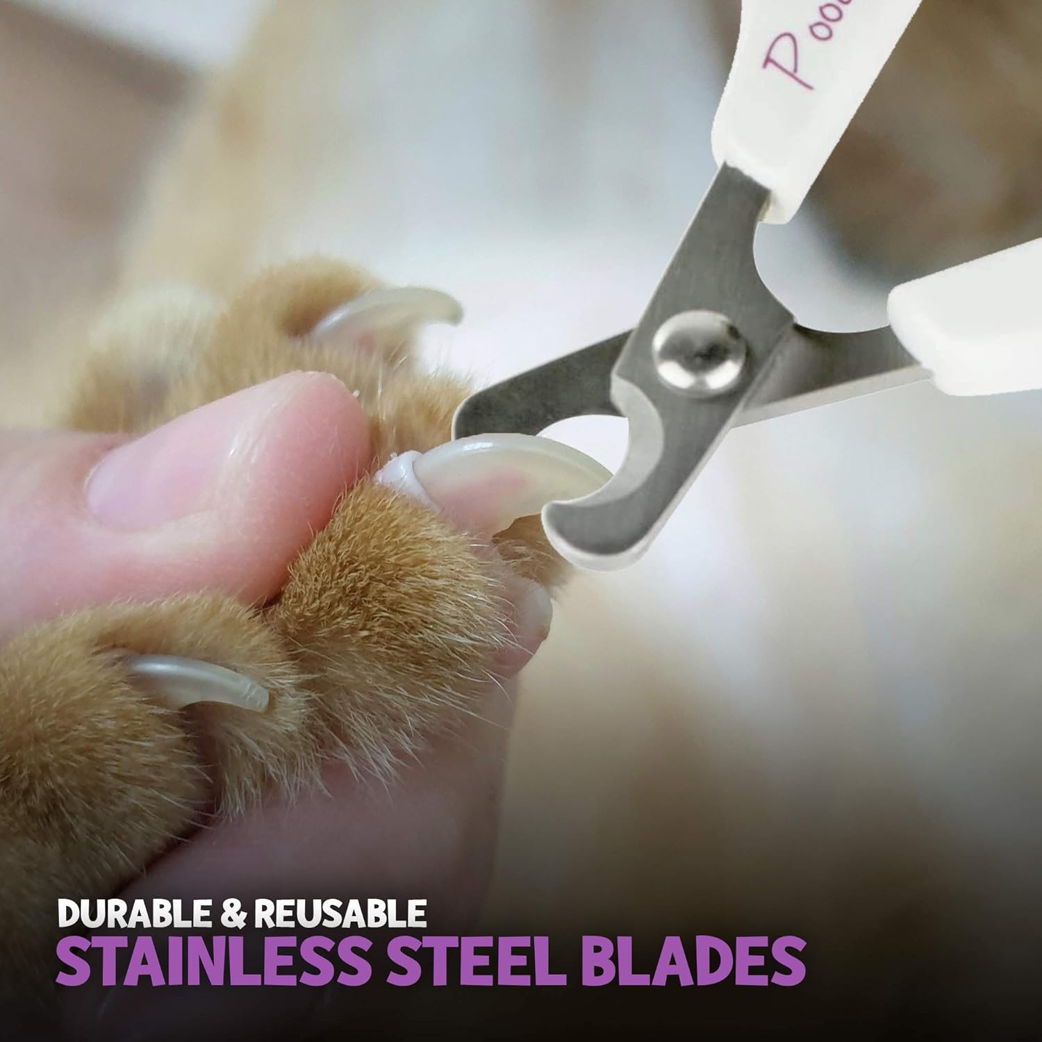 Cat Nail Clipper, Dog Nail Trimmers – Pet Claw Scissors for Cats, Dogs, Rabbits & Small Animals – Sharp Stainless Steel Professional Grooming Tool - Gentle Yet Effective - Image 5