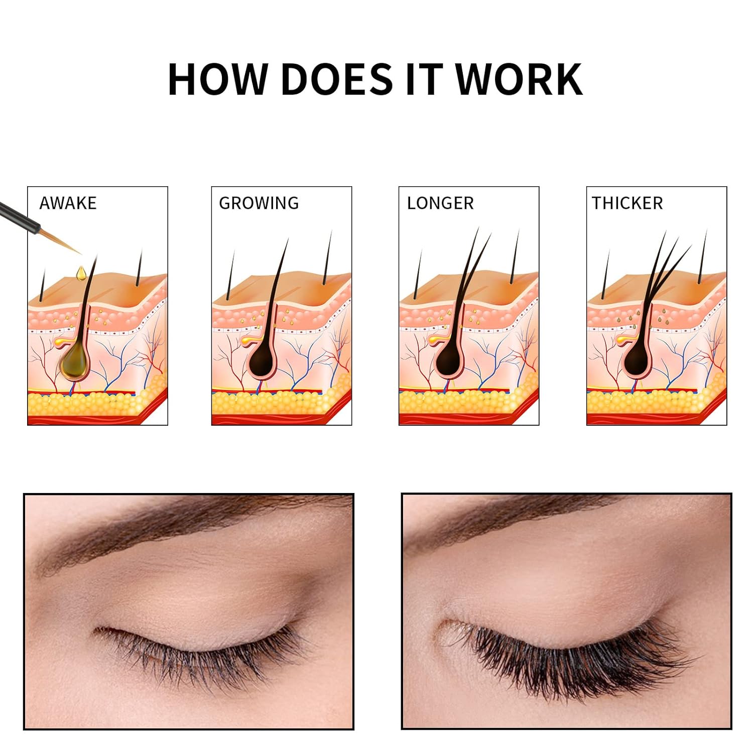 Premium Eyelash Growth Serum, Lash Growth Serum 5ML, Eyebrow Growth Serum with Peptides, Irritation-Free Eyelash Serum to Grow Lashes, Lash Boost for Fuller, Longer, Thicker, and Stronger Lashes, Gold - Image 3