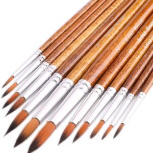Artist Watercolor Paint Brushes, Round Pointed Tip Paint Brushes Set, 12pcs Different Sizes Detail Paint Brush for Watercolor, Acrylics, Ink, Gouache, Oil, Tempera (Brown)
