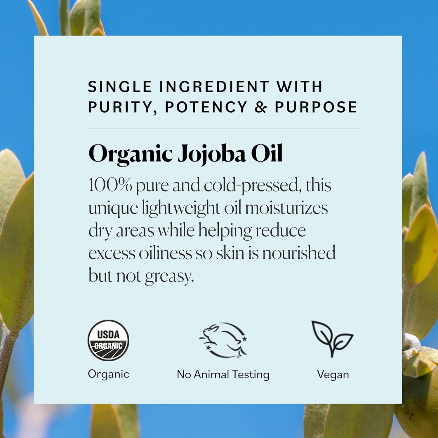 Sky Organics Organic Jojoba Oil for Face, Balancing Oil for Light Hydration & Helps Reduce Excess Oiliness, Suitable For Oily, Combination and Blemish-Prone Skin, 100% Pure & Cold-Pressed, 4 fl. Oz with ebook - Image 5