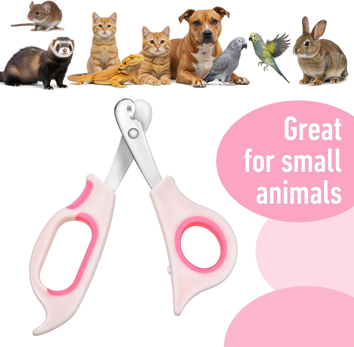 Stainless Steel Angled Edge Small Pet Nail Clippers for Cats Reptiles Birds Hamsters - Image 4