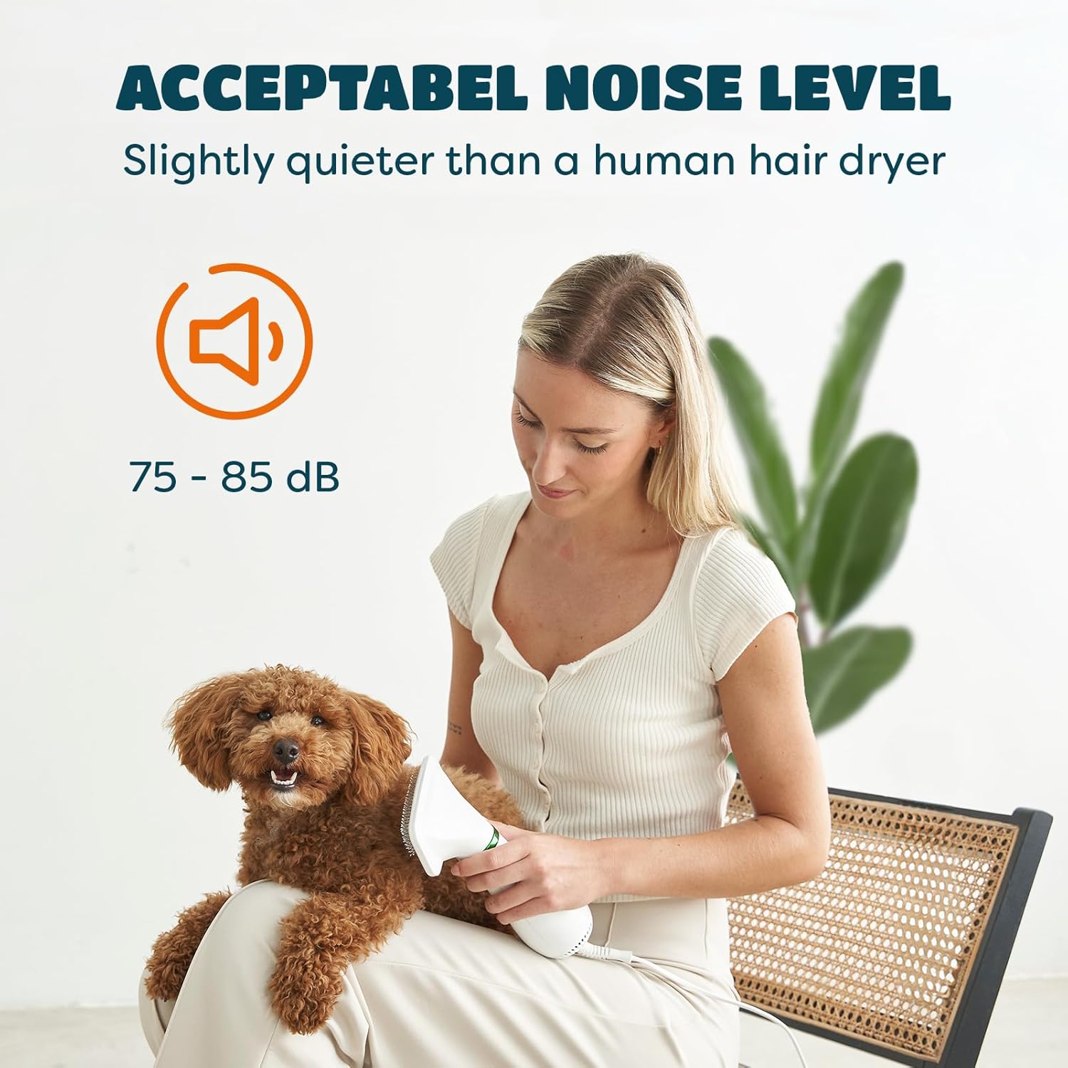 Gentle 2-in-1 Pet Dryer Grooming Tool for Small Dogs and Cats Adjustable Heat 300 Watts - Image 5