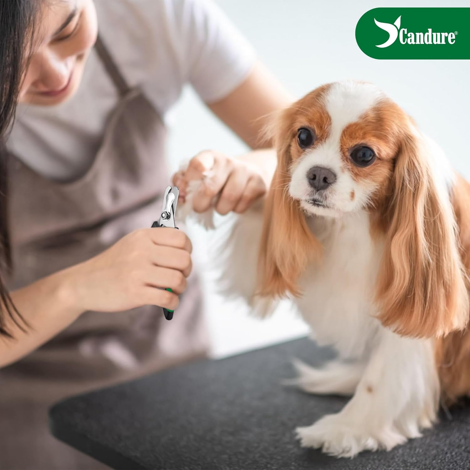 Candure Dog Nail Clippers Professional Pet Nail Clipper Suitable for Cats, Rabbits and Guinea Pigs - Safety Lock/Protective Guard to Avoid Over Cutting (Green, Medium to Small) - Image 3