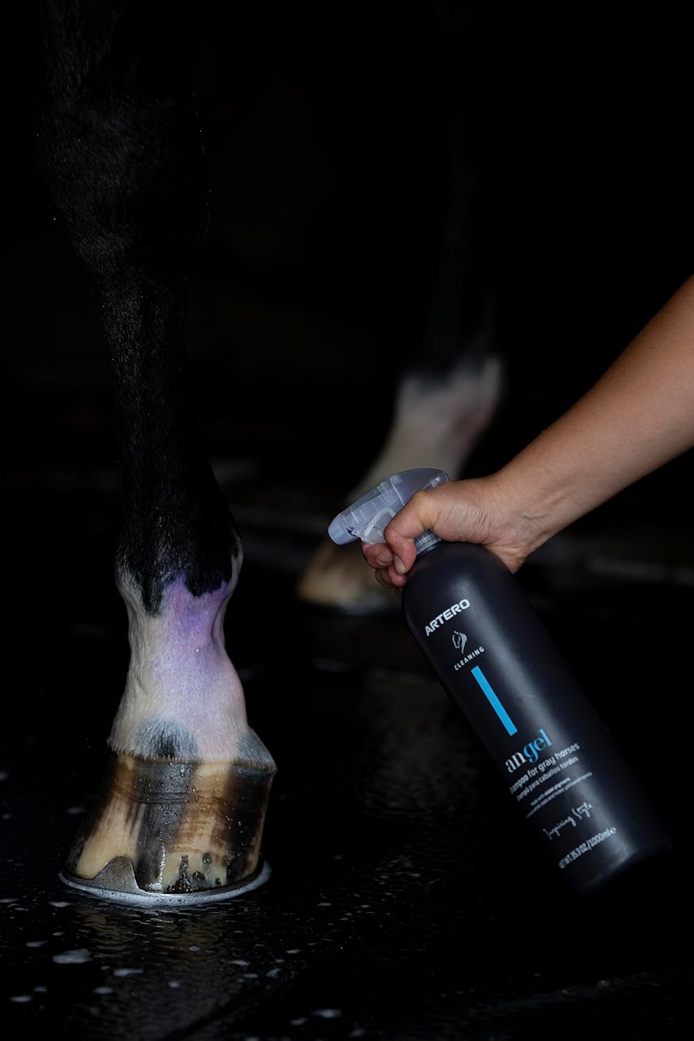 Artero Angel. Whitening Shampoo for White Horse Hair of Dapple-Coated equines - Image 2