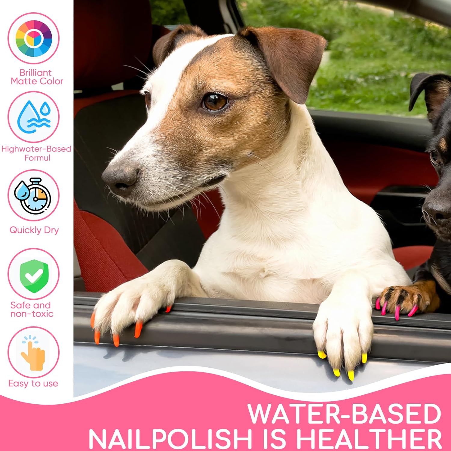 8 Color Dog Nail Polish Set - Non-Toxic, Odorless, Quick Dry, Easy Application - Image 6