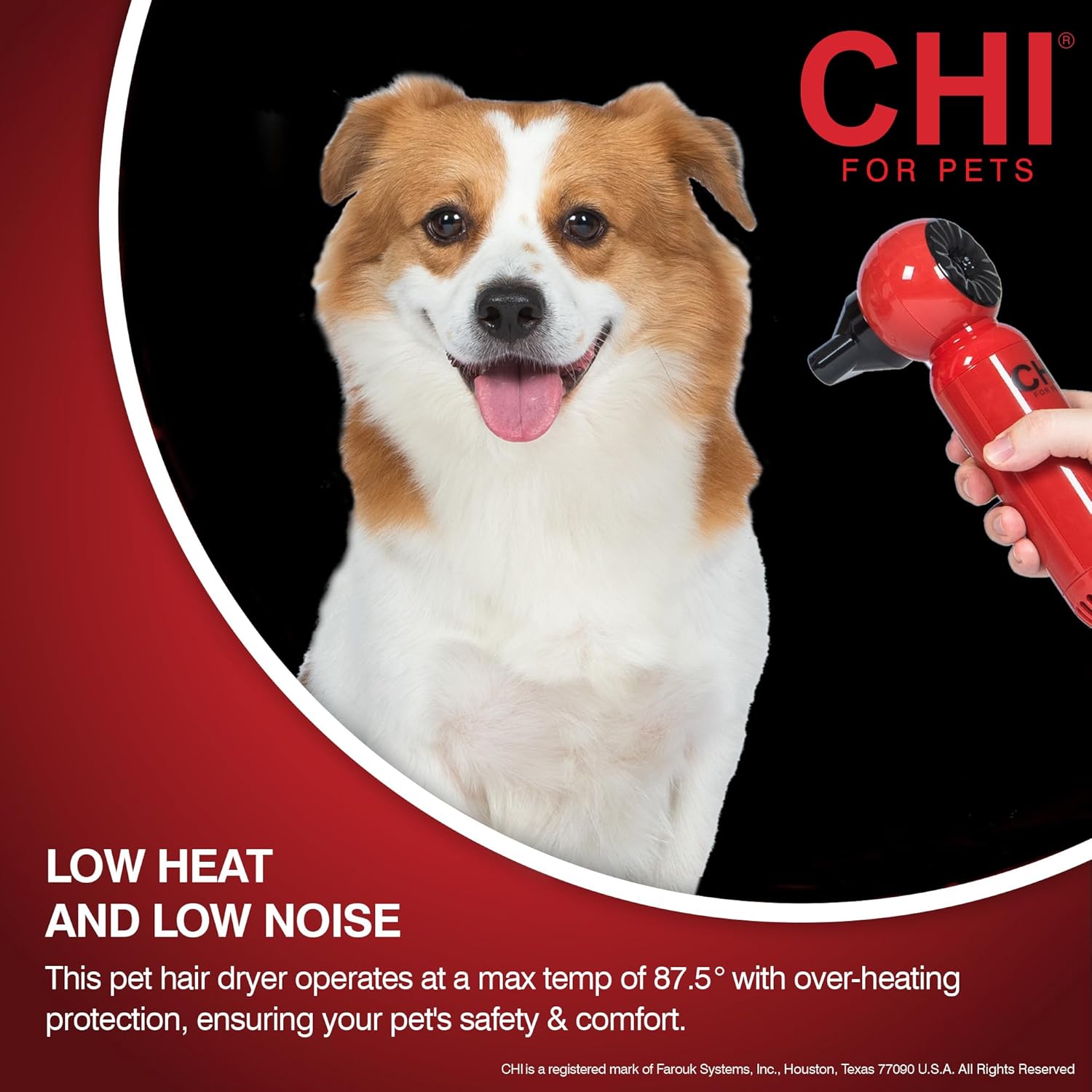CHI for Pets Grooming Plus Handheld Pet Hair Dryer for Cats and Dogs, All Hair Types; Compact, Low Heat, Low Noise Pet Dryer; Leaves One Hand Free to Hold & Comfort Pet, FF28716 - Image 5