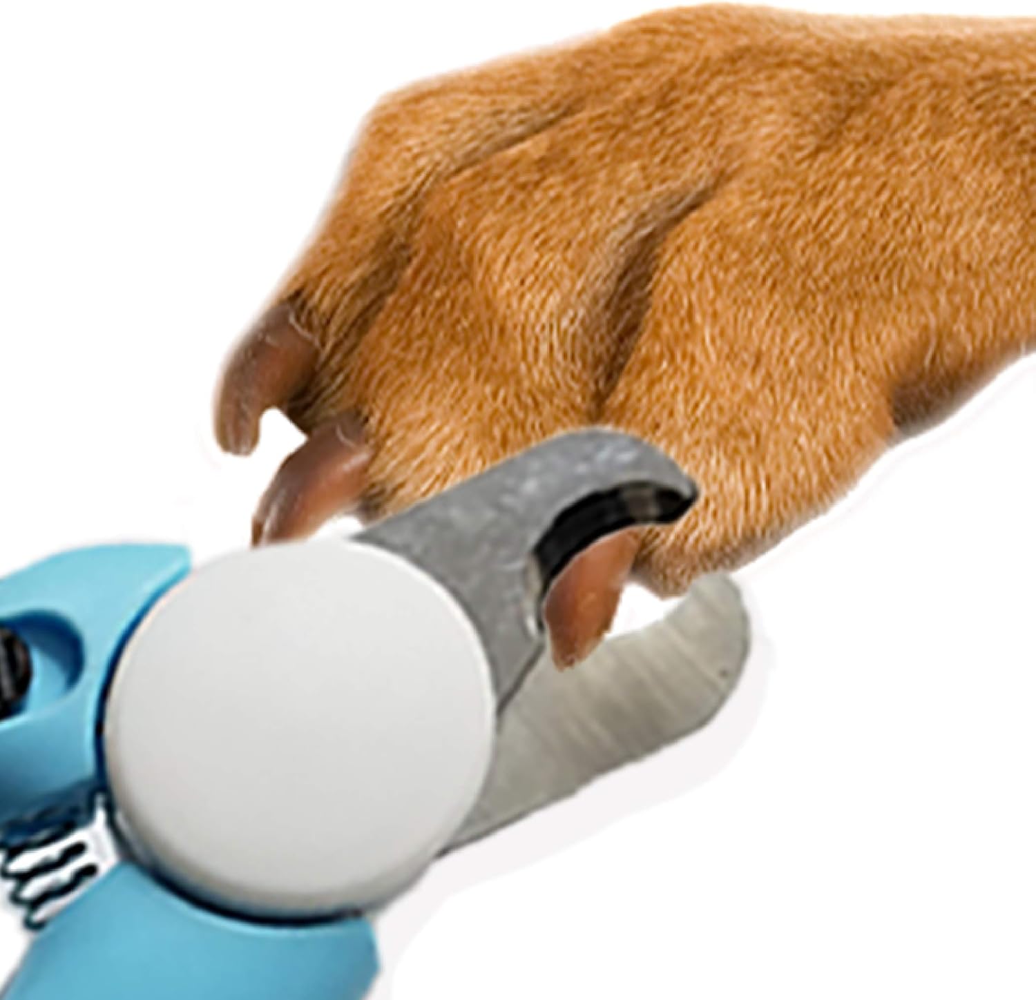 Pets First DOG NAIL CLIPPER & TRIMMER Premium Quality Pet Nail Paws Clippers & trimming tool with Safety Guard. Avoid Over-Cutting Nails +Free Nail File. Sturdy Non Slip Ergonomic Handles. Sharp Blade - Image 5