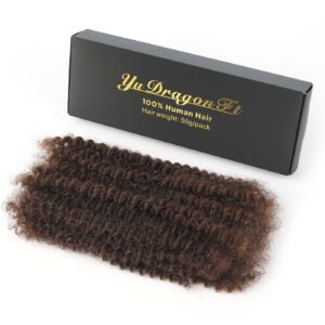 Afro Kinky Curly Human Hair Bulk for Passion Twists Marley Twist Temporary Locks, Mini Twist or Permanent Locs Afro Kinky Bulk Human Hair Can be bleached and dyed 1 Pack 50 Gram (4#, 12)