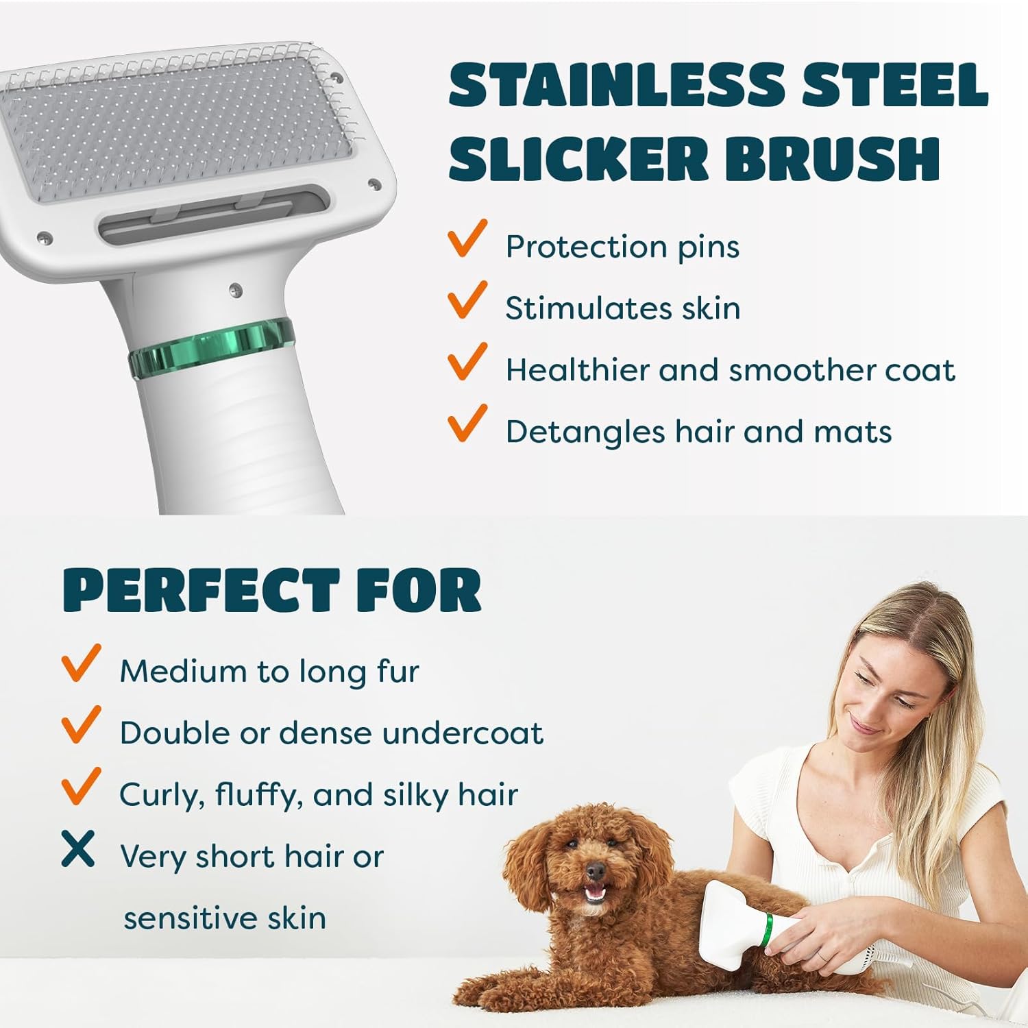 Gentle 2-in-1 Pet Dryer Grooming Tool for Small Dogs and Cats Adjustable Heat 300 Watts - Image 4