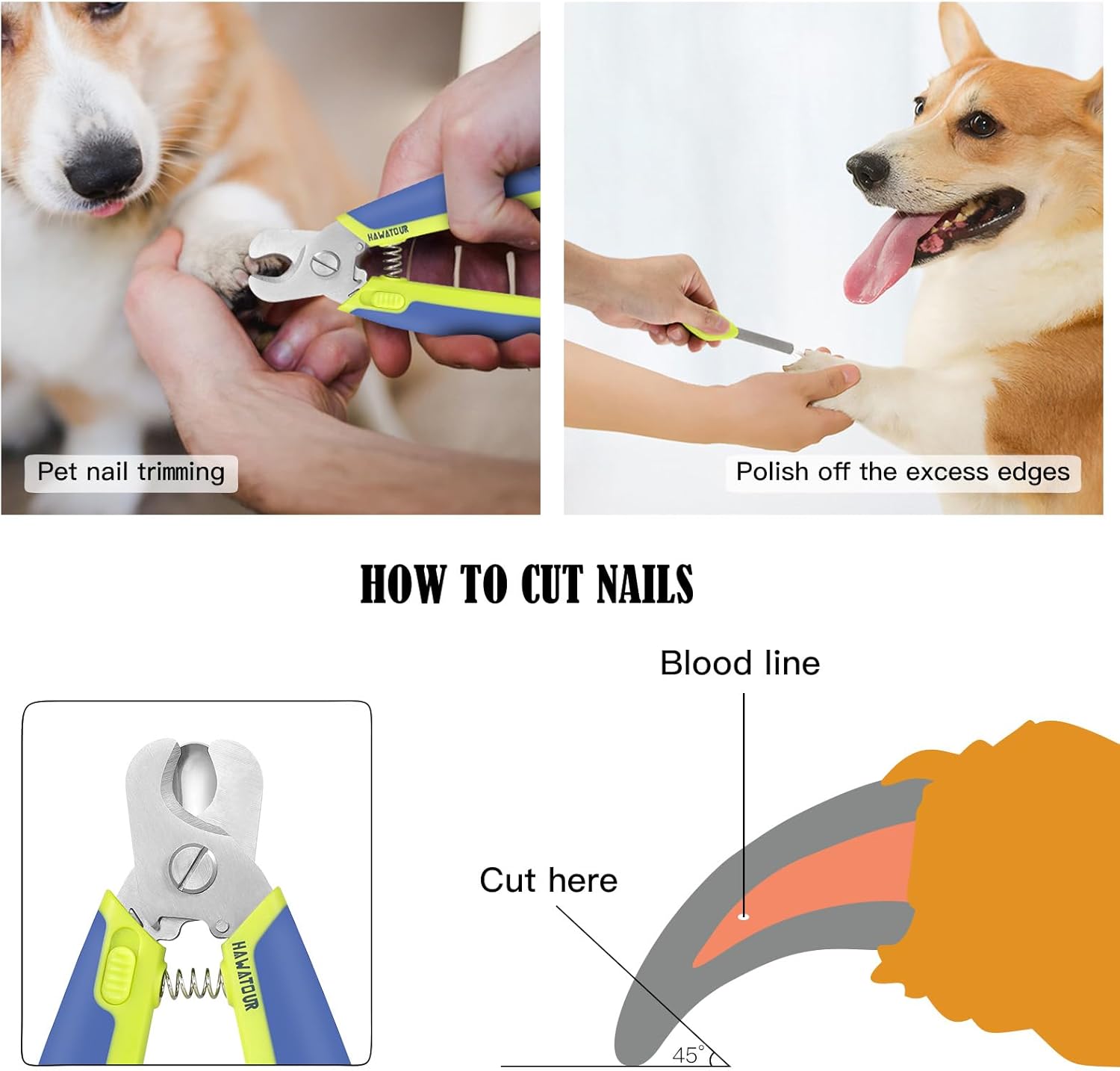 Dog Nail Clippers with Nail File, Professional Pet Nail Trimmers with Safety Guard, Avoid Over Cutting, Grooming Razor for Medium and Large Dog and Cat, Blue Yellow - Image 4