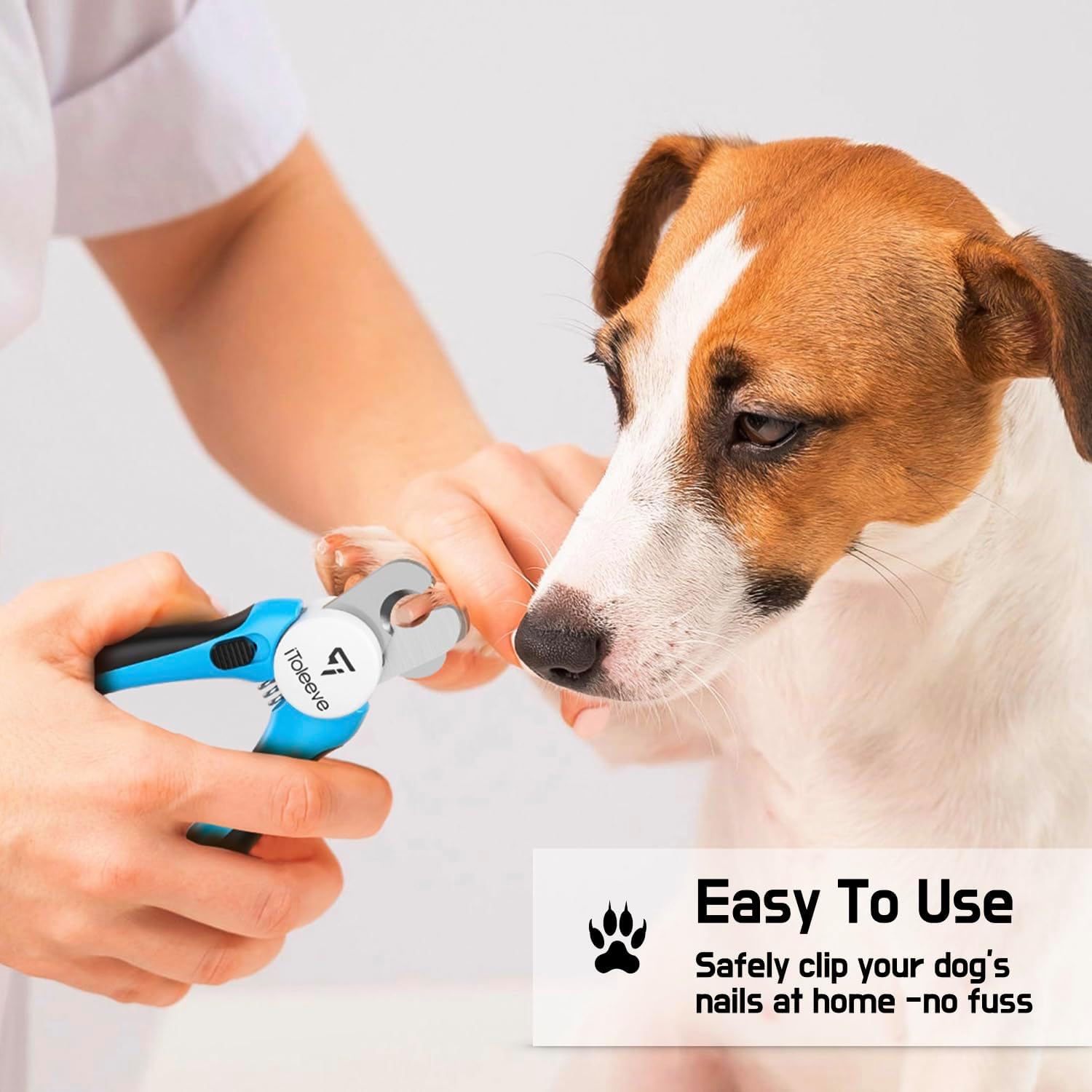 Professional Small Dog & Cat Nail Clippers with Nail File - Extra Sharp, Safe & Easy Trimming for Thick Nails - Safety Guard to Prevent Overcutting - Ideal for Small & Medium Breeds - Image 2