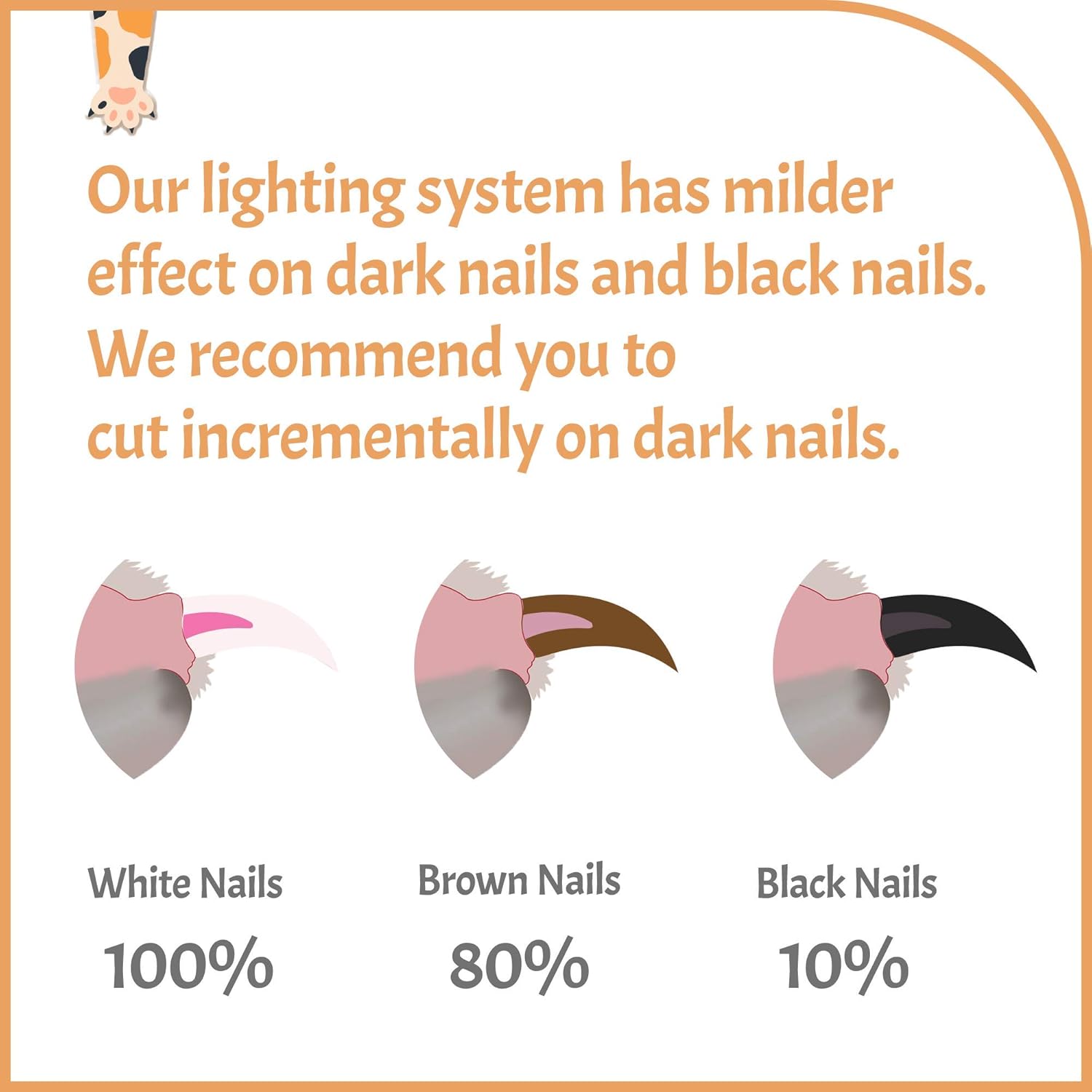 Reinvented Pet Nail Clippers for Your Pal - USB Rechargeable LED Light for Bloodline | Razor Sharp and Durable Blade | Vets Recommended Trimming Tool for Dogs and Cats - Image 6