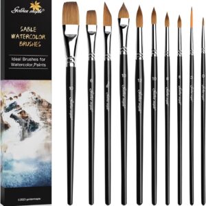 Watercolor Brushes Professional Set, 10 Artist Brushes Watercolor Paint Brushes, Golden Maple Sable Brush Paint Brushes-Round Tip, Flats, Dagger, Oval Wash for Detail Painting, Water Color, Gouache