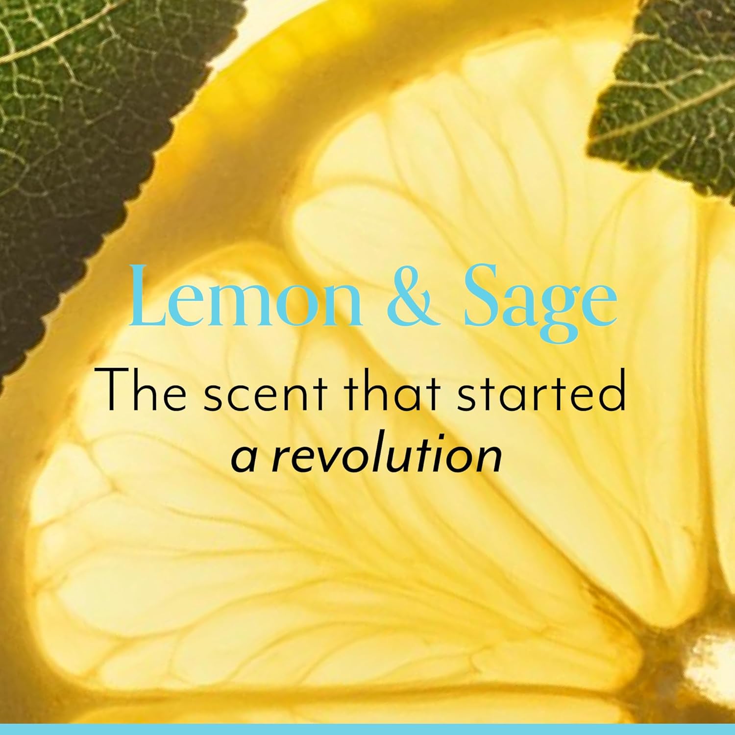Bliss Lemon and Sage Body Butter - Maximum Moisture Cream - 6.7 Fl Oz Lotion for Dry Skin - Long-Lasting Moisturizer for Women & Men - Vegan and Cruelty-Free - Image 2
