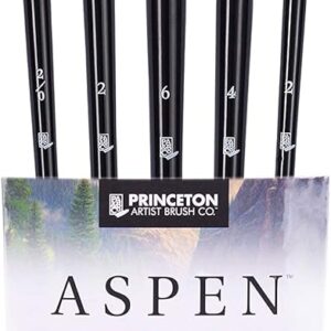 Princeton Aspen 6500 Series 5pc Professional Paint Brushes for Acrylic Painting - Synthetic Oil, Gouache, and Acrylic Paint Brushes Set - Filbert Striper Flat & Round Set of Art Brush