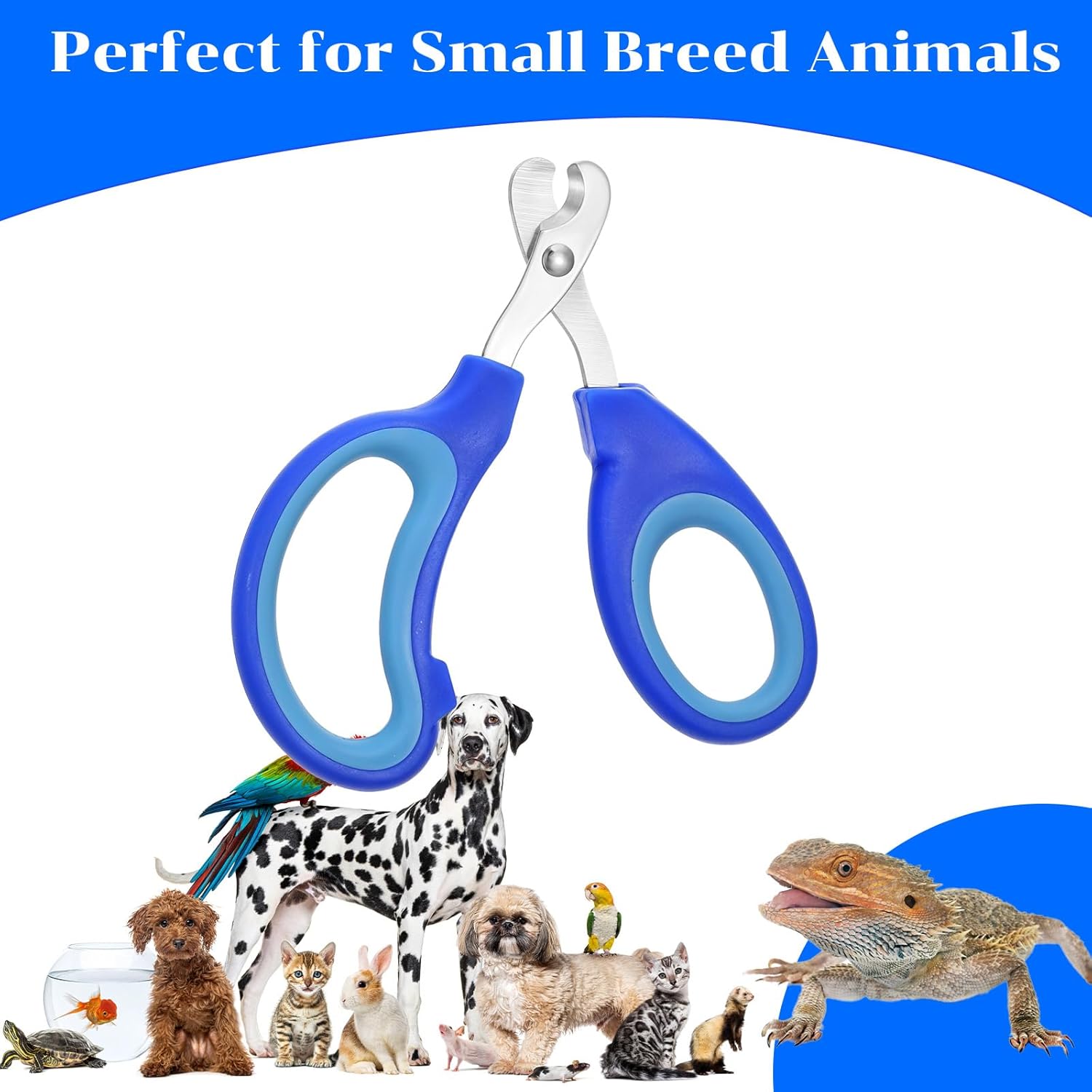 Stainless Steel Bearded Dragon Cat Nail Clippers, Pet Toe Nail Clippers Professional Grooming Supplies for Bird Small Reptiles Guinea Pig Dog Rabbit Turtle,Chameleon,Iguana - Image 4