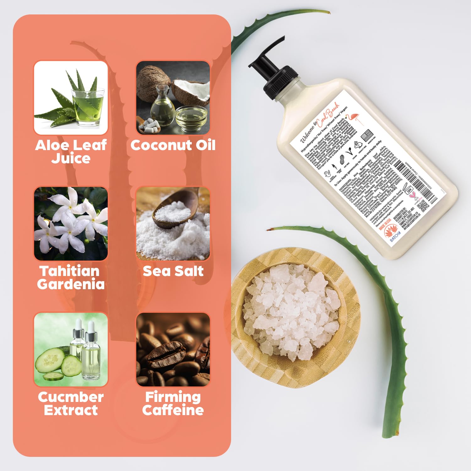 Coral Beach Daily Moisturizer, Tan Extender Lotion, for After Sun or Tanning Bed, Aloe Vera base, Hypoallergenic, Sensitive Skin, Great for Men and Women, Unisex Fresh Scent - Image 5