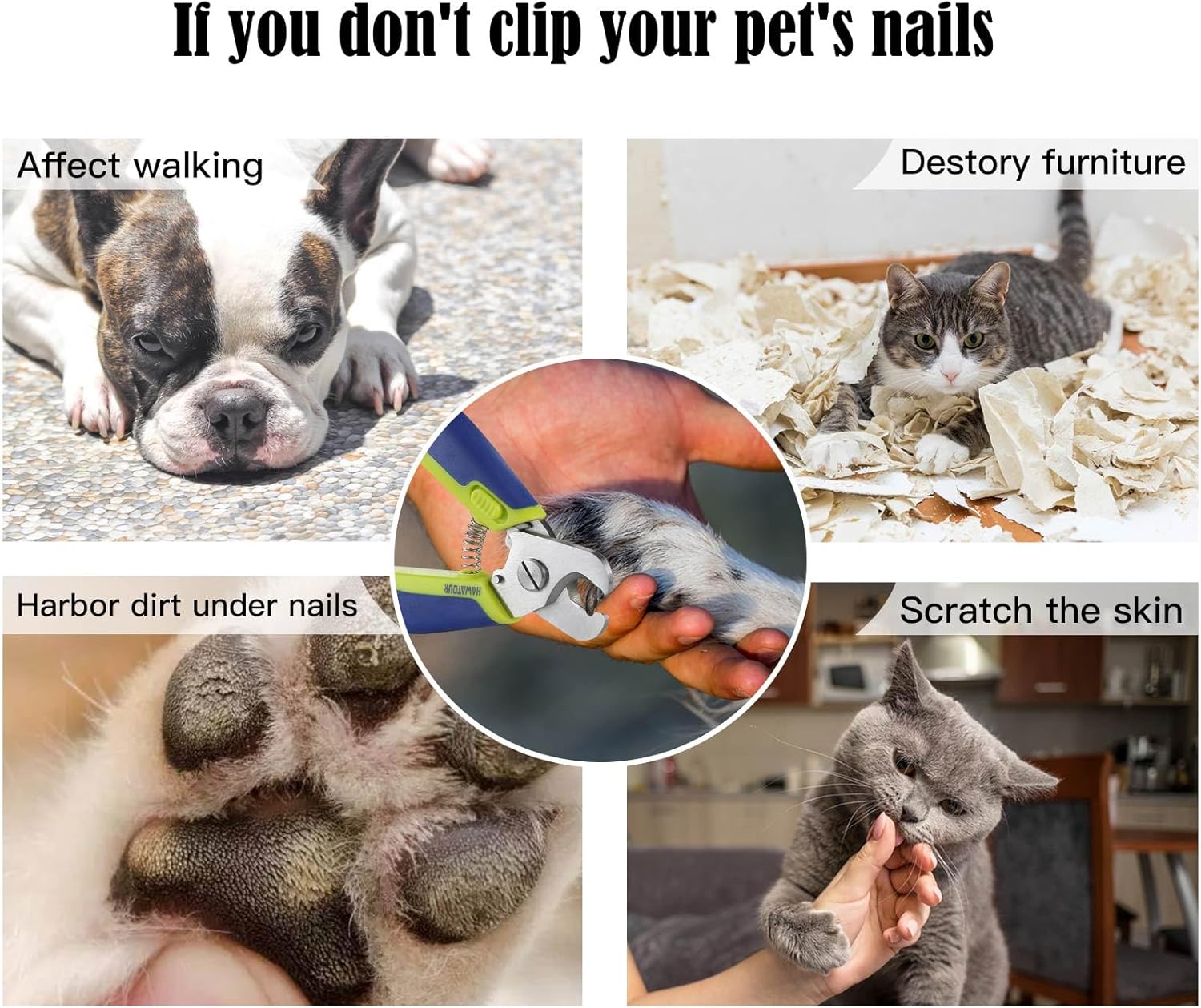 Dog Nail Clippers with Nail File, Professional Pet Nail Trimmers with Safety Guard, Avoid Over Cutting, Grooming Razor for Medium and Large Dog and Cat, Blue Yellow - Image 3