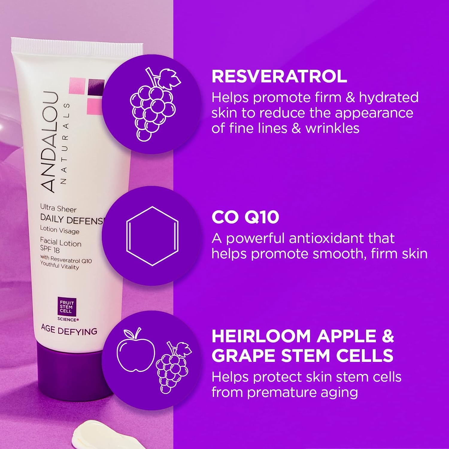 Andalou Naturals Ultra Sheer Daily Defense Facial Lotion, SPF 18, 2.7 oz, with Resveratrol CoQ10 and Antioxidants, Lightweight, Hydrating Facial Moisturizer - Image 3