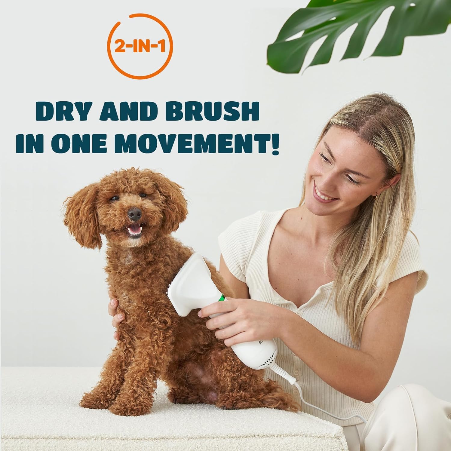 Gentle 2-in-1 Pet Dryer Grooming Tool for Small Dogs and Cats Adjustable Heat 300 Watts - Image 2