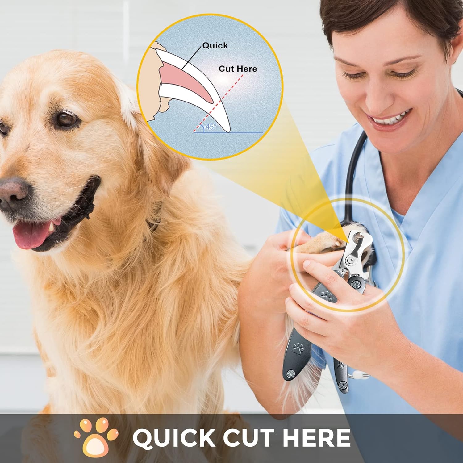 Best Dog Nail Trimmers for Anxiety Sensitive Dogs, Quiet Sharpest Smoothest Nail Clippers for Large Dog Medium Small, Professional Stainless Steel with Nail File & Comb, Left-Handed Friendly - Image 7